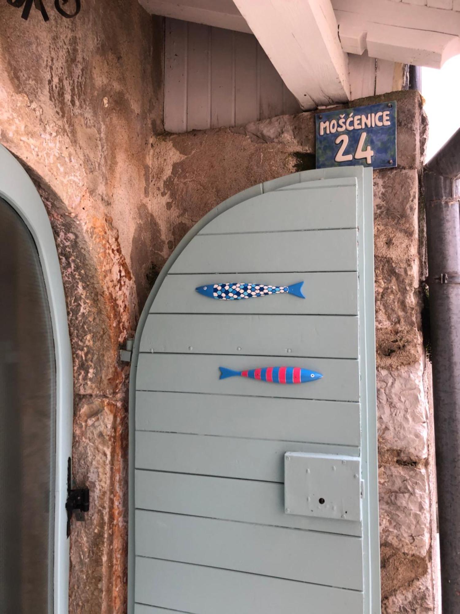 Apartment Susanj موتشينيسي المظهر الخارجي الصورة
