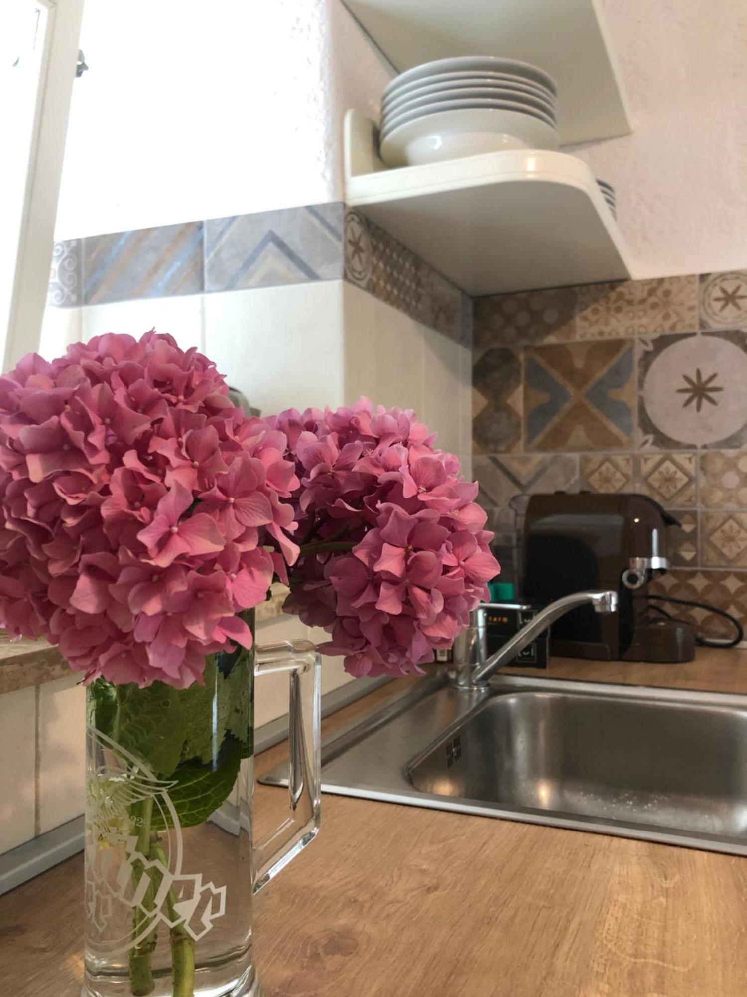 Apartment Susanj موتشينيسي المظهر الخارجي الصورة